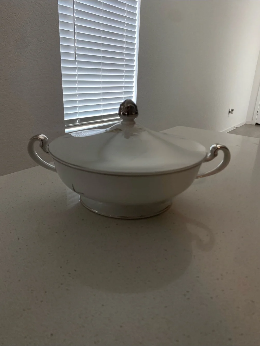 Fine China of Japan,  design Platinum Wheat